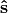 \mathbf{\hat{s}}